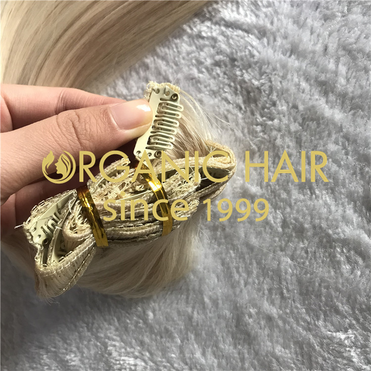Clip-in Organic Hair extensions H142